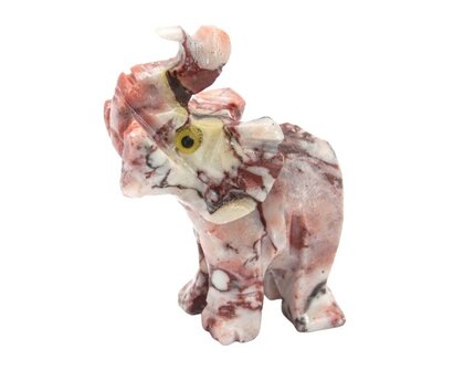 Olifant Hickoriet