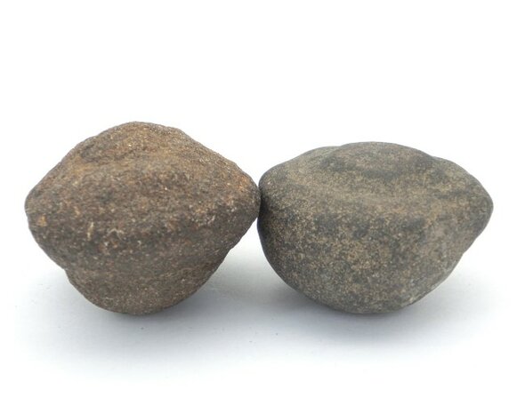 Moqui Marbles 4,3 cm (zeer zeldzaam)