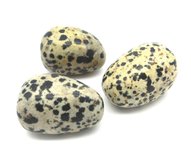 Jaspis Dalmatiër knuffelsteen Jaspis Dalmatiër knuffelsteen
