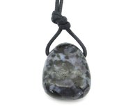Gabbro hanger aan koord Gabbro hanger aan koord